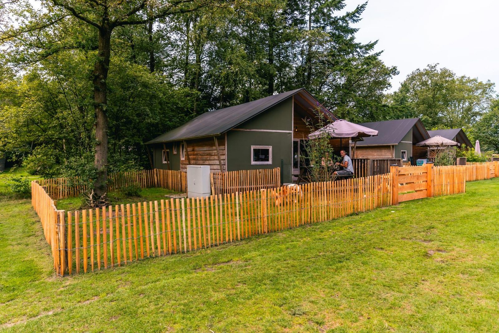 Workation in Drenthe vanuit een rustig vakantiepark in het groen